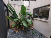 4602 Somerset Pl. New Port Richey, FL 34652 - Atrium_027a1d588b3803ff661677d78f488d4e