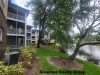 10024 Strafford Oak Ct. #813 Tampa, FL 33624 - Back2_cbd373916f0dd84ea39ff6804b0fdf97