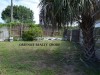 3221 Topp Dr. Holiday, FL 34691 - Backyard_fenced_fdadc6925056707765e7215dd7d2deae