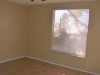 3109 Cable Dr. Holiday, FL 34691 - Bed2_370bc9ce6c078082fdce21919a1620a3