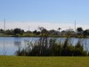 10325 County Lake Dr. Port Richey, FL 34668 - Pond_down_street_66c570b890b310cef3e06e7bdf22d839